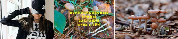 кристаллы Алексеевка